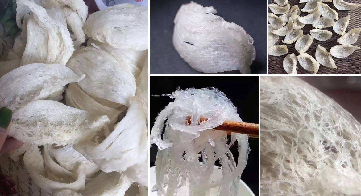 燕窩odm貼牌加工廠家：燕窩是奢侈品？有錢人才吃得起？看完這篇文章你就知道了！